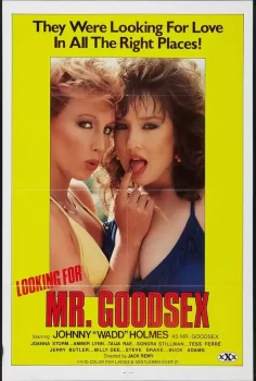 Looking For Mr. Goodsex erotic movie